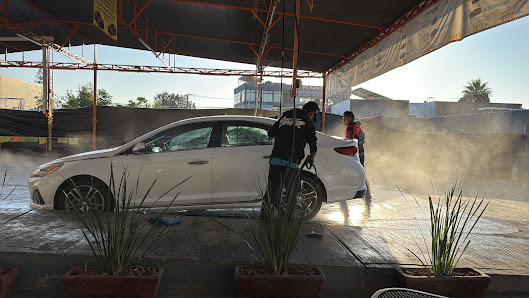 Alpha Car Wash & Detallado Profesional